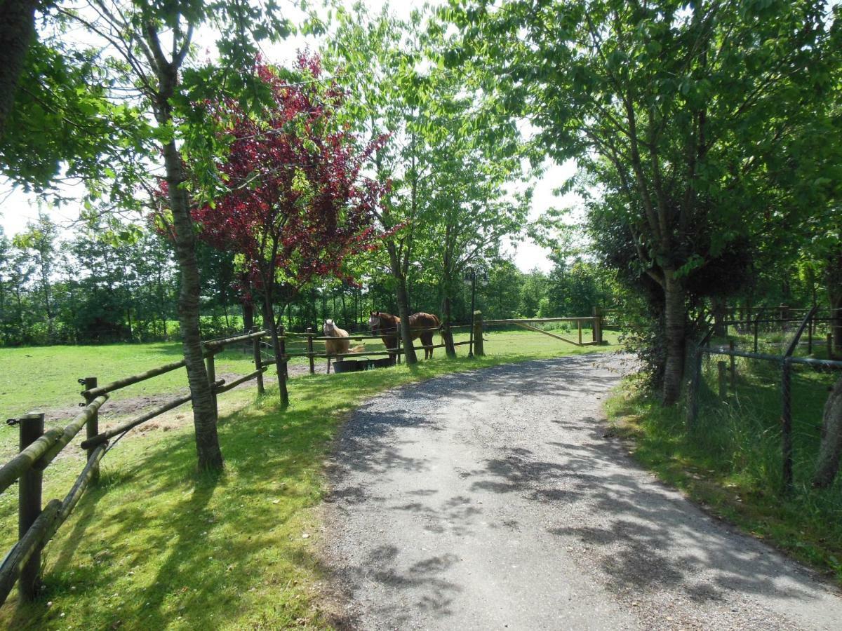 Kollumerzwaag B&B Landgoed Sonneborghe المظهر الخارجي الصورة