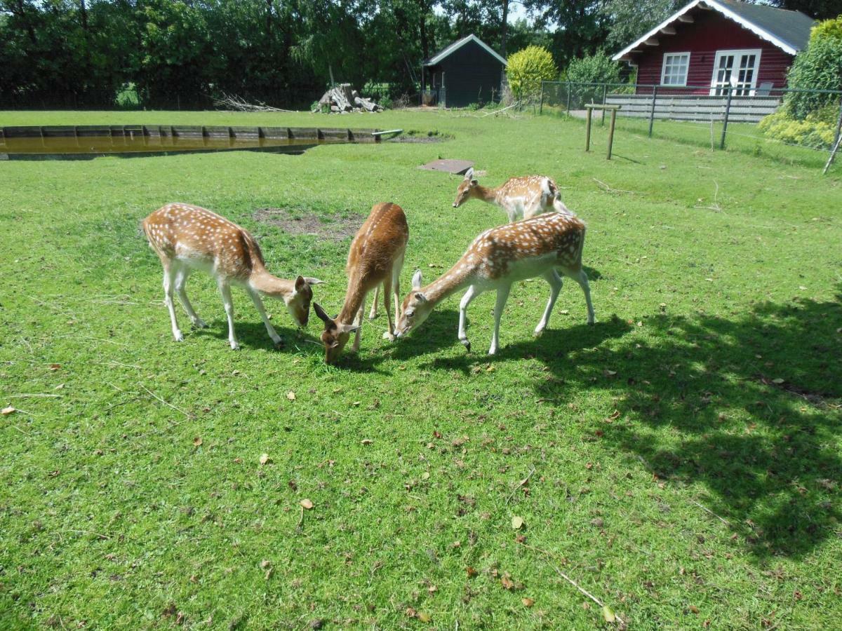 Kollumerzwaag B&B Landgoed Sonneborghe المظهر الخارجي الصورة